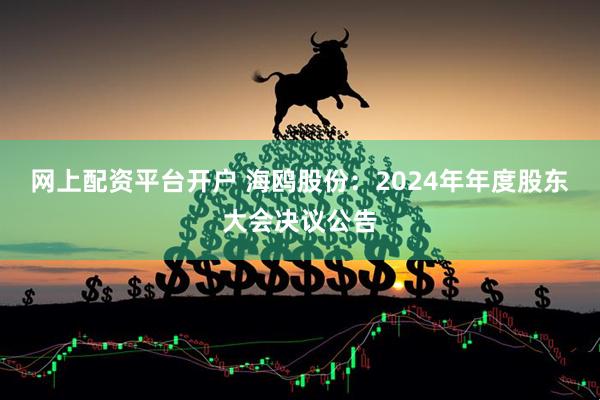 网上配资平台开户 海鸥股份：2024年年度股东大会决议公告